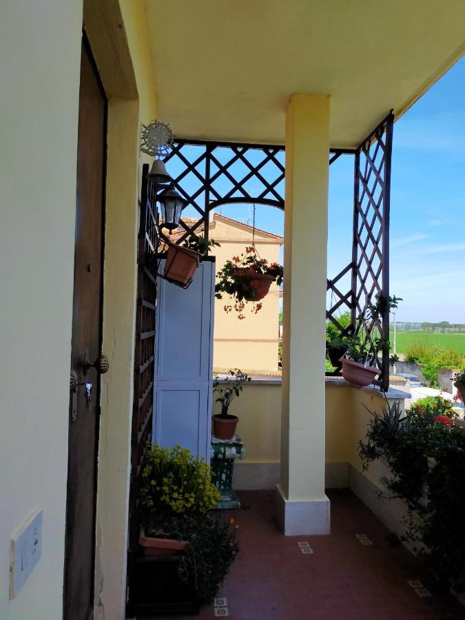 Luxury Apartment Magnolia Terrace Fregenae Zewnętrze zdjęcie