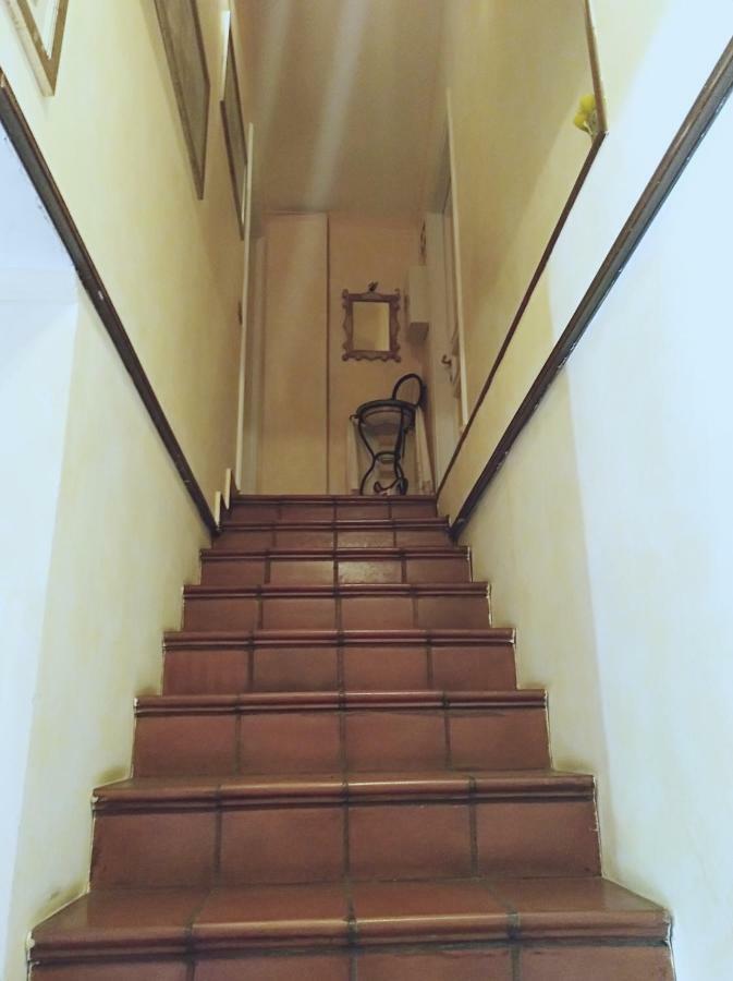 Luxury Apartment Magnolia Terrace Fregenae Zewnętrze zdjęcie
